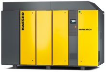 Винтовой компрессор Kaeser DSG 260-2 8 RD
